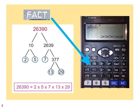 prime factorization calculator